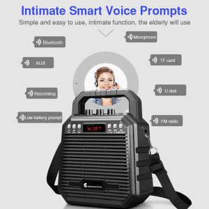 Wireless Bluetooth Speaker Echo Recorder Portable Trolley Speaker UHF 2.4Ghz