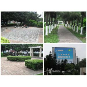 Mint Lotus Candle Fragrances Top Smelling Fragrance Candle Making