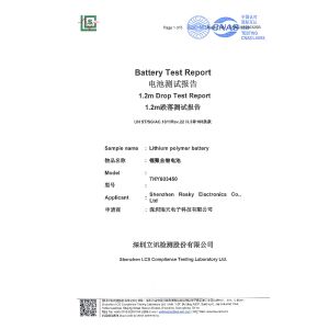 Shenzhen Resky Electronics Co., Ltd. Certifications