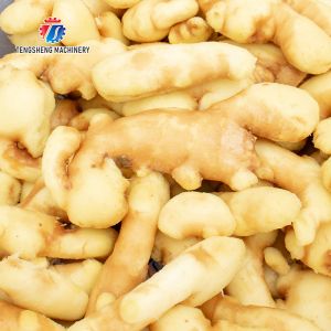 Roller brush bubble washing production line Fruit Vegetable FOOD processing