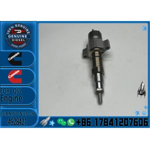 High Quality Diesel Engine Spare Parts QSL ISC Series Fuel Injector 4928421