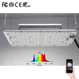 Cheap Efficient 329pcs Samsung LED Quantum Board For Lighting Needs for sale
