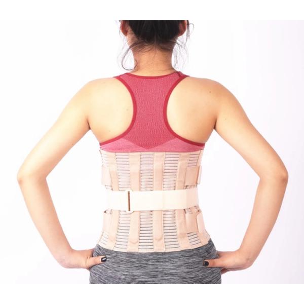 Fish Line Splint Lower Lumbar Waist Back Support Belt For Men And Women