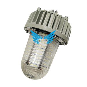 30W LED Security Flood Light