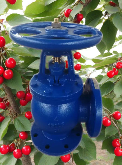 Quality ANSI angle valve wholesale