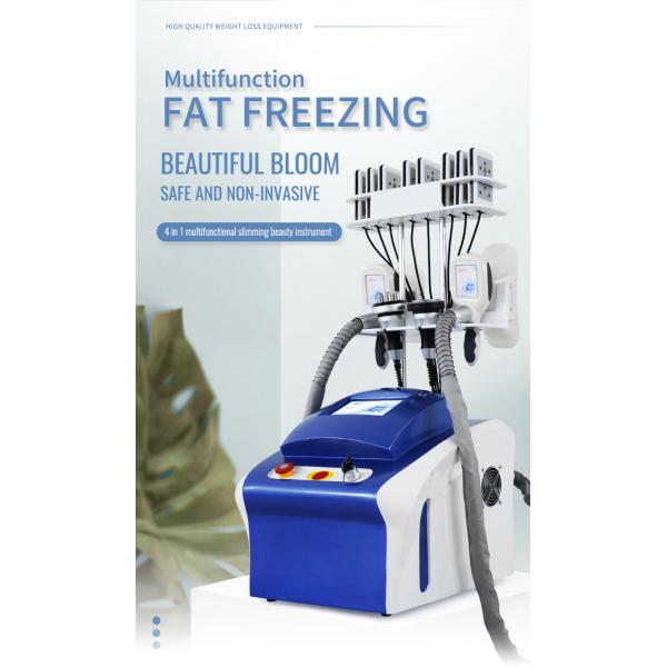 Cryolipolysis Lipo Laser Cool Sculpting Machine 360 Fat Freezing