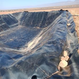 Chinese Design Style 2mm HDPE Geomembrane for Landfill Liner Dam Liner at