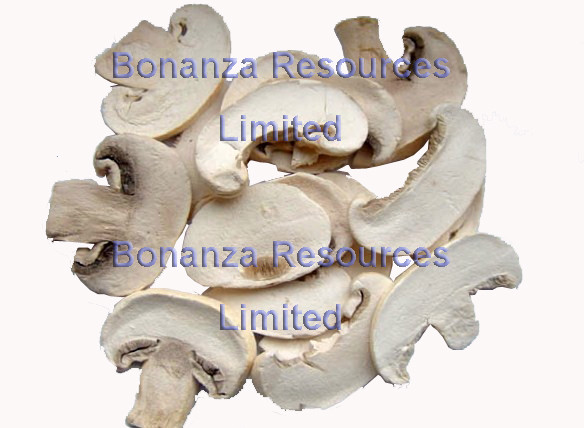 Quality Freeze Dried Button Mushroom Chips wholesale