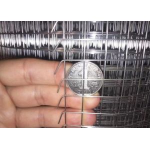 3/4 Inch Bird Aviary 30x1.2m Galvanised Welded Mesh Panels