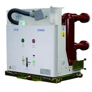 Vacuum Circuit Breaker CKVB-12/G