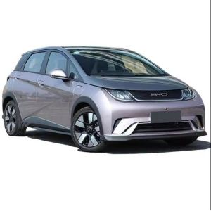 Byd 2022 Tang Dm-P 215km 4WD Flagship Hybrid Electric EV Car Made in Han Tang
