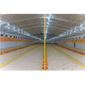 China Automatic Feeding Chicken Nipple Drinker System Ground Breeding on sale