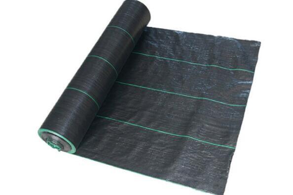 Quality Virgin PP Polypropylene Ground Cover / Black Weed Control Fabric For Agriculture wholesale