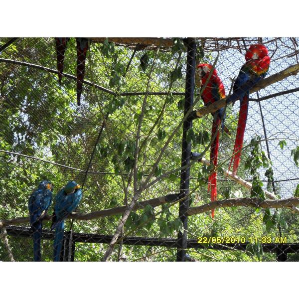 Quality stainless steel wire rope mesh peacock fencing wholesale