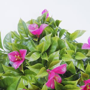 Exhibition Artificial Green Wall Panels Outdoor PE PP