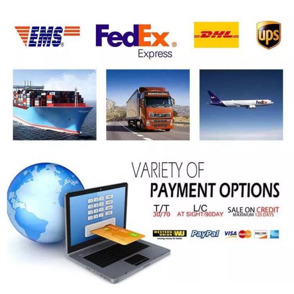 M12 IP67 IP68 Waterproof Connector Male Female 3-17 Pin Automotive