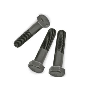 Stainless Steel Hex Bolt SS304 M6 5/16 Inch Passivated Finish Corrosion