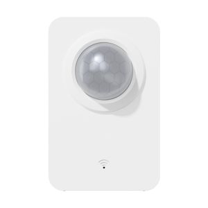 PIR Motion Sensor(P06)
