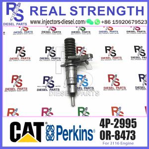 High Quality New Fuel Injector 4P2995 4P-2995 for CAT Engine 3114 3116 3208