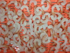 China IQF Frozen Skinless Vannamei White Shrimp / Fresh Frozen Shrimp For Restaurant on sale