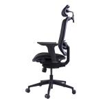 Adjustable Ergo Desk Mesh Back Office Chair Project Lumbar Support With Headrest