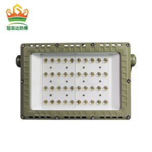 Hot Selling High Lumen Anti Explosion Proof Flood Light IP66 WF2 protection