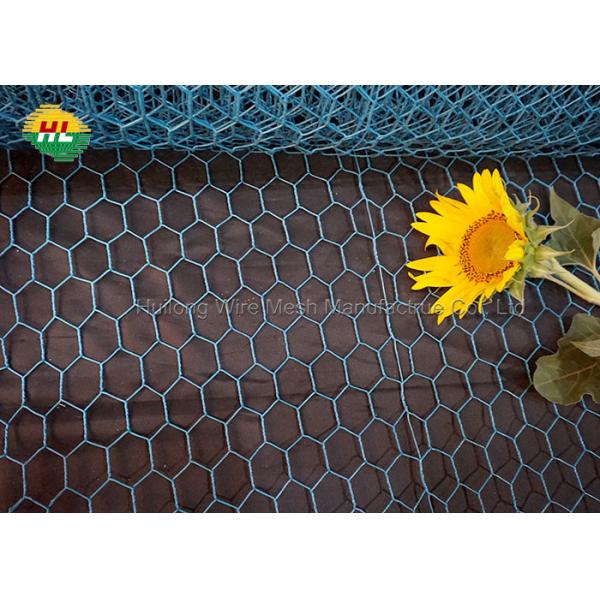 Quality HUILONG 1x50m Chicken Fencing Wire , Hardware Cloth Rabbit Wire Fence wholesale