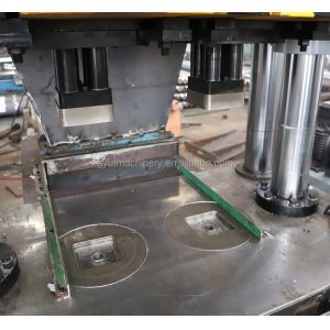 Fully Automatic Licking Salt Briquette Machine for Multi Function Hydraulic