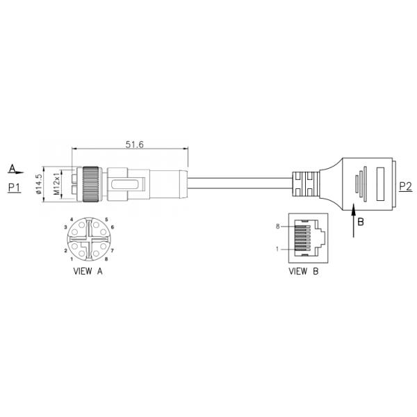 M12 Connector with 8-Pin Waterproof Molded Plug Cable Type Product