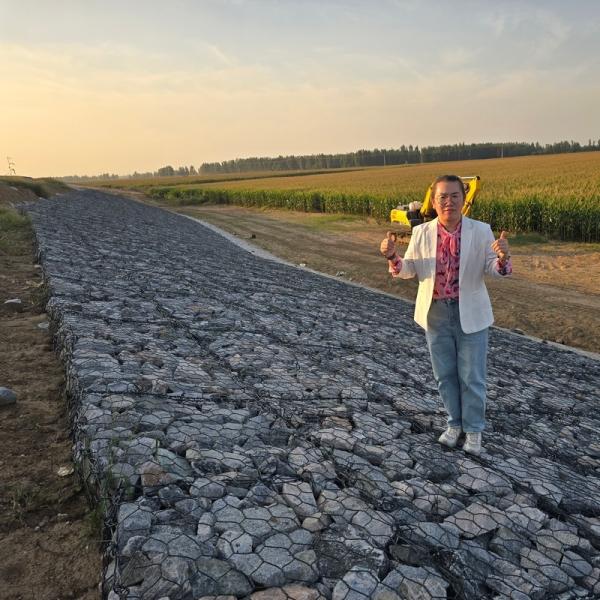 3.0mm Wire Mesh Gabion Box Heavy-Duty Galvanized Gabion for Philippine Flood and