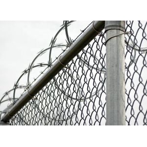 Low Price Concertina Hot Dipped Galvanized Razor Barbed Wire