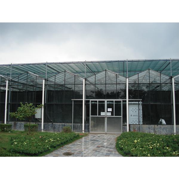 Quality Customizable Multi Span Greenhouse With Side Vent And Roof Height 3.73M wholesale
