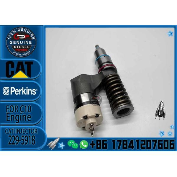 Diesel Engine Fuel Injector 229-5918 For CAT C10 C11 C12 C13 Diesel Engine 3176 3196 Excavator