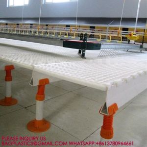 40mm Slatted Floor System In Poultry, PP Slatted Floor System, Plastic Floor For