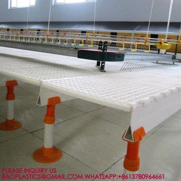 40mm Slatted Floor System In Poultry, PP Slatted Floor System, Plastic Floor For