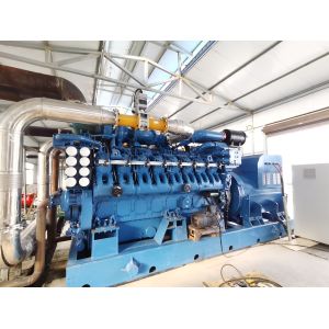 3 Cylinder Quiet Generator Dual Fuel Genset Three Phase 60HZ