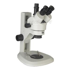 Cheap WF20X Eyepiece Stereo Zoom Microscope Trinocular Vertical With Digital Camera for sale