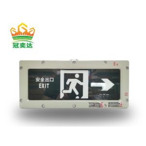 Customised Surface Pattern 3w 220VAC Explosion Proof Exit Light