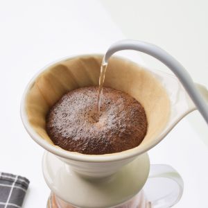 V Shaped Coffee Filter 100 Pack Disposable Cone Paper Filters for Pour Over