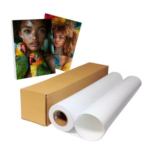 Quality Pigment Inkjet RC 240gsm Photo Paper Roll  With Resin Coating wholesale
