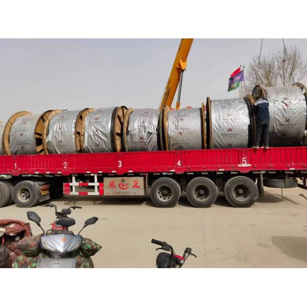 CU XLPE PVC Low Voltage Power Cable Copper Wire Shielded Cable 0.6/1kV