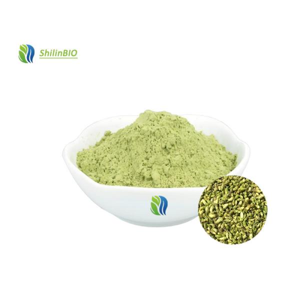 Quality Rutin Extract 95% Rutin wholesale