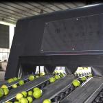 Intelligent 6 Channels Lemons Sorting Grading Machine 360° Rotational Scanning