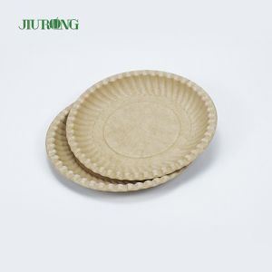 Recyclable Biodegradable Sugarcane Food Container Eco Friendly Round Plate 258mm
