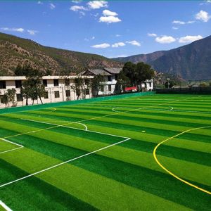 50mm Height Sports Artificial Grass Turf for Soccer Field Football Field Carpet