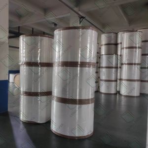 100% Virgin Wood Pulp 80gsm Offset Printing Paper Roll 680x1000mm