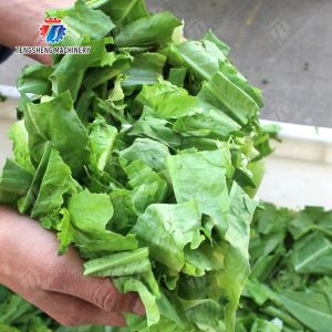 Double head vegetable cutting machine papaya chieh qua pumpkin wax gourd Ginger