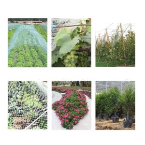 Best quality 100% New HDPE Agricultural Apple Tree Hail Protect Netting Anti