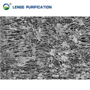 222 Fin PFA Pleated Filter Cartridge With Perfluorinated Flat Gasket