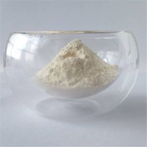 10:1 wholesale garcinia cambogia in bulk